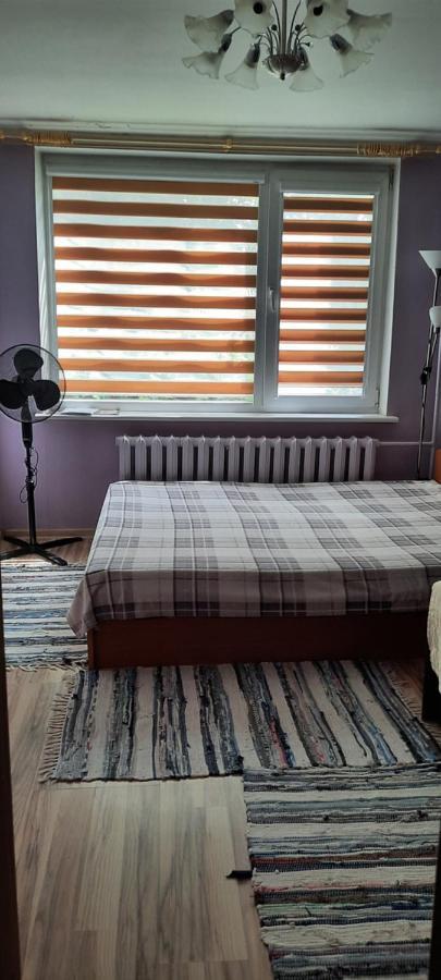 Day & Night Anyksciai Apartment Luaran gambar