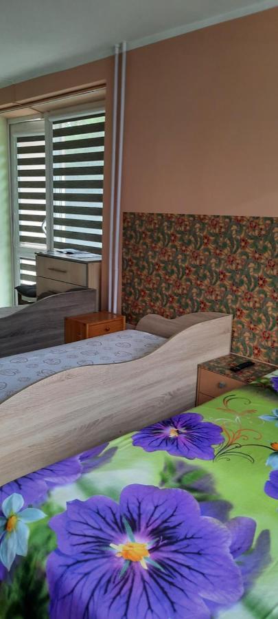 Day & Night Anyksciai Apartment Luaran gambar